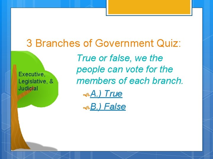 3 Branches of Government Quiz: Executive, Legislative, & Judicial True or false, we the