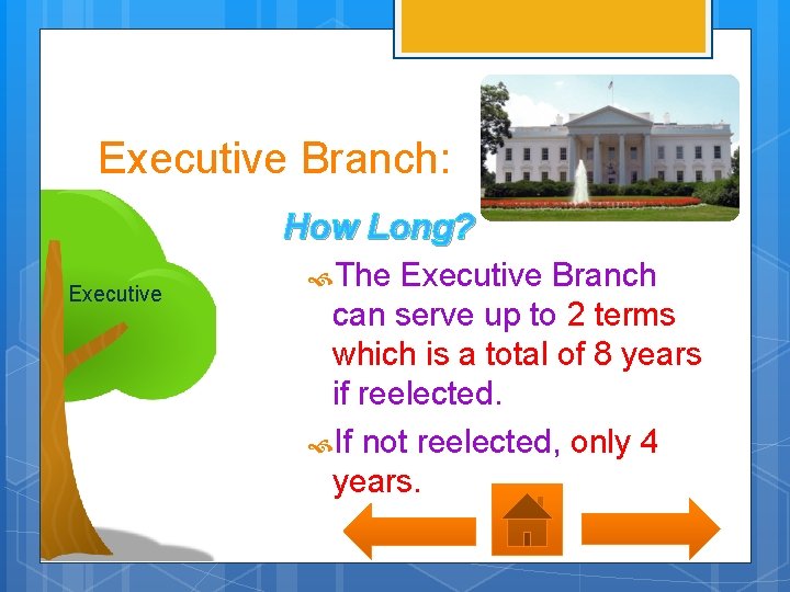 Executive Branch: How Long? Executive The Executive Branch can serve up to 2 terms