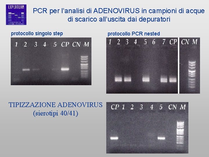 PCR per l’analisi di ADENOVIRUS in campioni di acque di scarico all’uscita dai depuratori