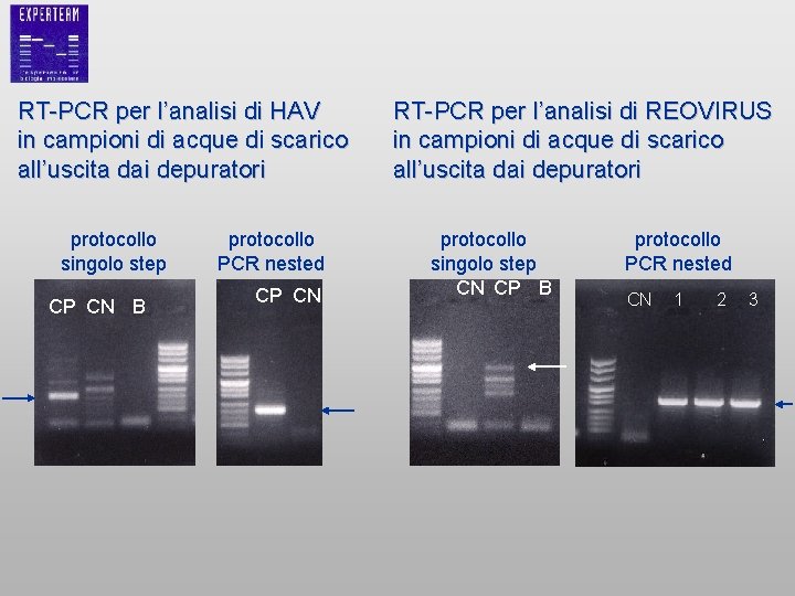 RT-PCR per l’analisi di HAV in campioni di acque di scarico all’uscita dai depuratori