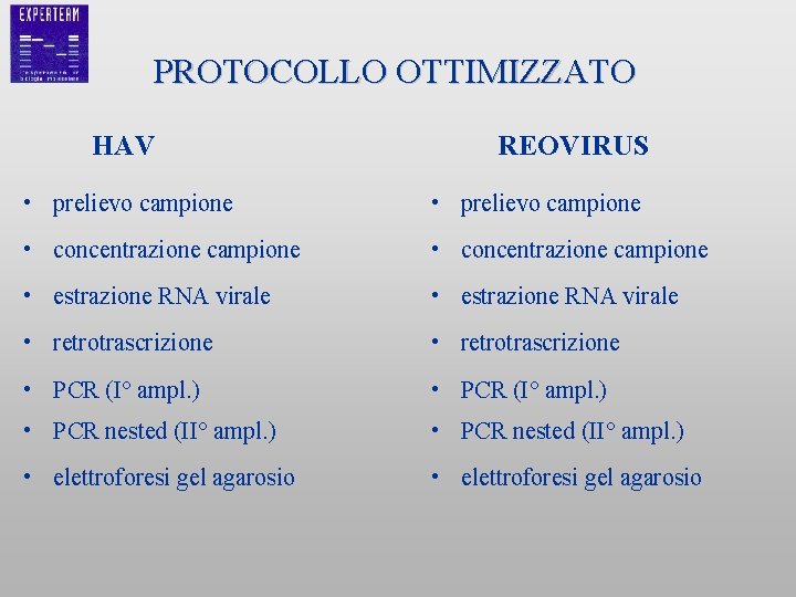 PROTOCOLLO OTTIMIZZATO HAV REOVIRUS • prelievo campione • concentrazione campione • estrazione RNA virale
