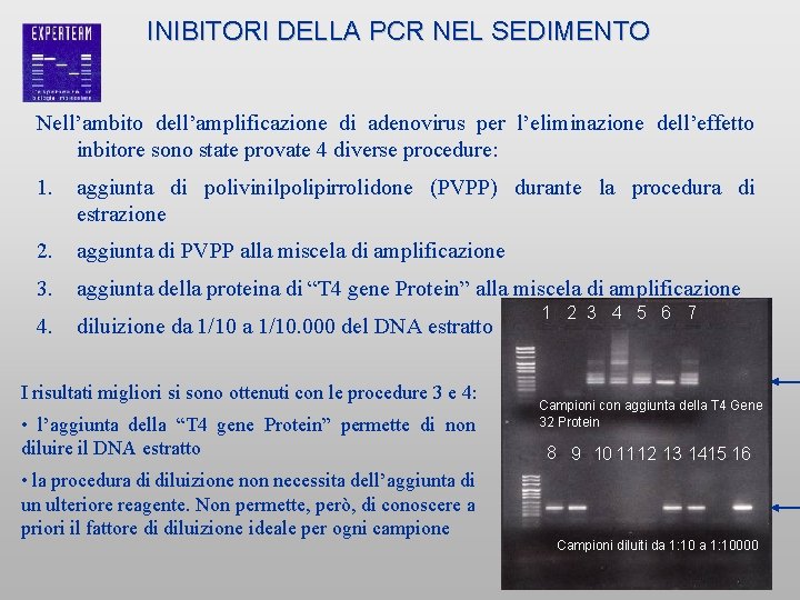 INIBITORI DELLA PCR NEL SEDIMENTO Nell’ambito dell’amplificazione di adenovirus per l’eliminazione dell’effetto inbitore sono