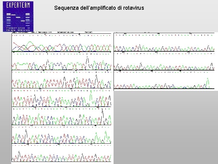 Sequenza dell’amplificato di rotavirus 