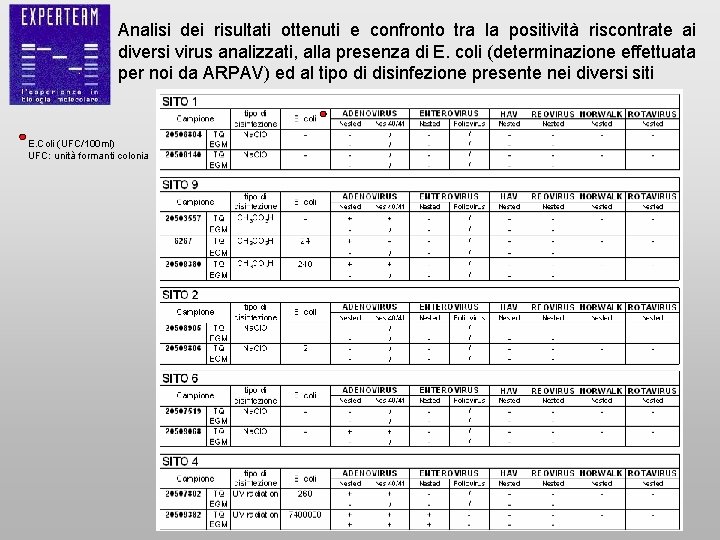 Analisi dei risultati ottenuti e confronto tra la positività riscontrate ai diversi virus analizzati,