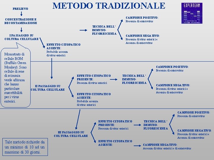 METODO TRADIZIONALE PRELIEVO CAMPIONE POSITIVO: Presenza di enterovirus CONCENTRAZIONE E DECONTAMINAZIONE TECNICA DELL’ IMMUNOFLUORESCENZA