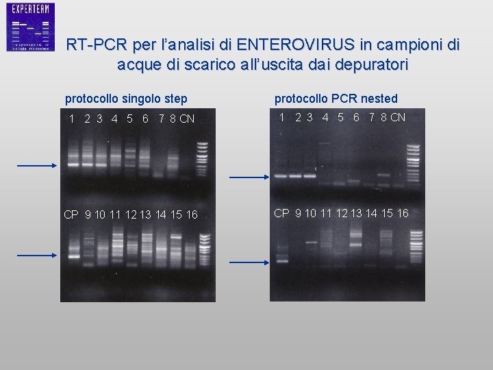 RT-PCR per l’analisi di ENTEROVIRUS in campioni di acque di scarico all’uscita dai depuratori