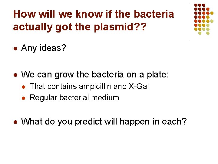 How will we know if the bacteria actually got the plasmid? ? l Any