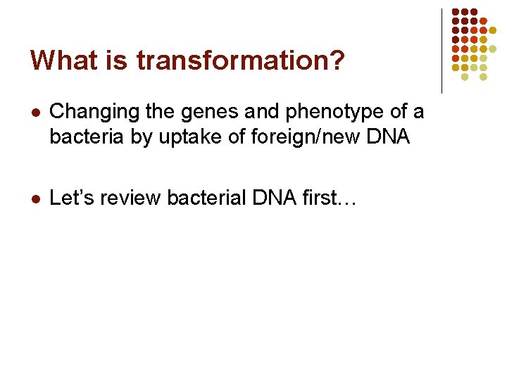 What is transformation? l Changing the genes and phenotype of a bacteria by uptake