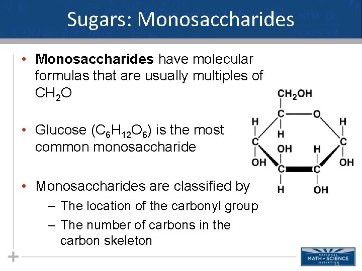 Sugars: Monosaccharides • Monosaccharides have molecular formulas that are usually multiples of CH 2