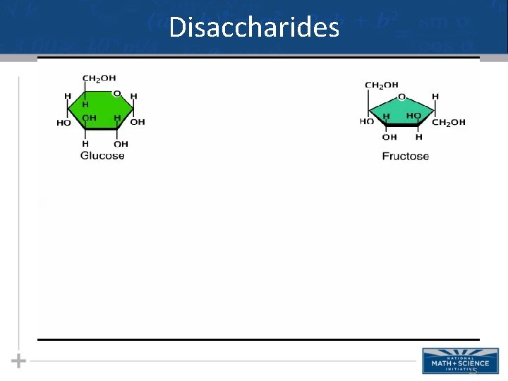 Disaccharides 15 