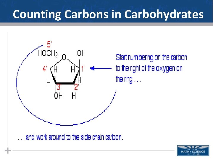 Counting Carbons in Carbohydrates 16 