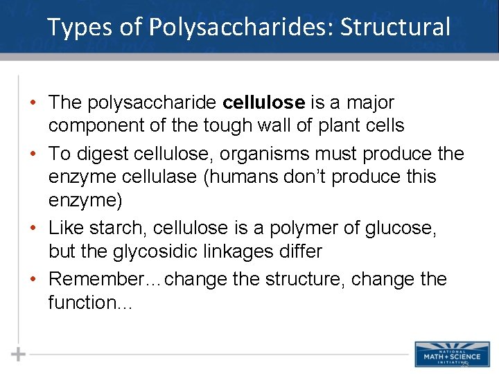 Types of Polysaccharides: Structural • The polysaccharide cellulose is a major component of the