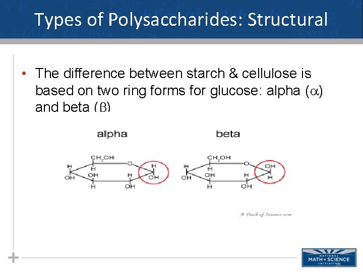 Types of Polysaccharides: Structural • The difference between starch & cellulose is based on