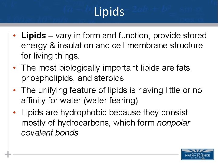 Lipids • Lipids – vary in form and function, provide stored energy & insulation