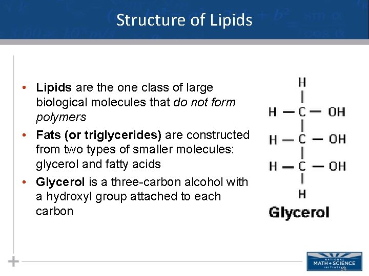 Structure of Lipids • Lipids are the one class of large biological molecules that