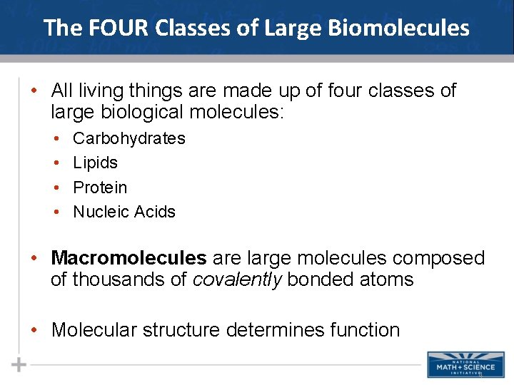 The FOUR Classes of Large Biomolecules • All living things are made up of