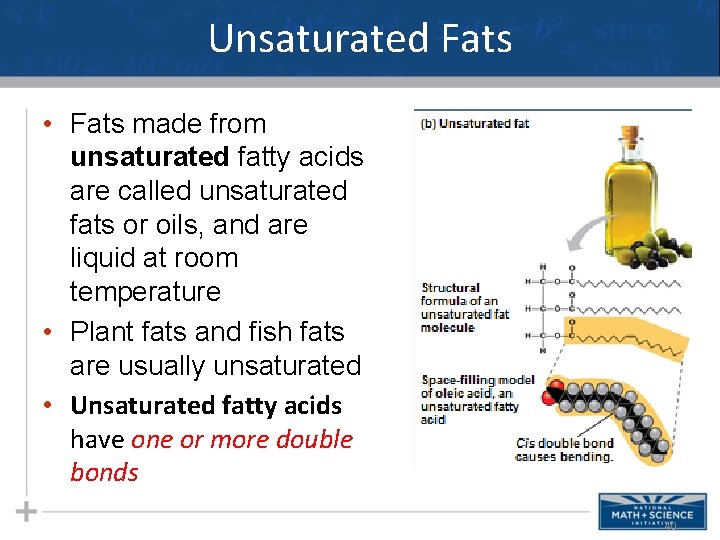 Unsaturated Fats • Fats made from unsaturated fatty acids are called unsaturated fats or