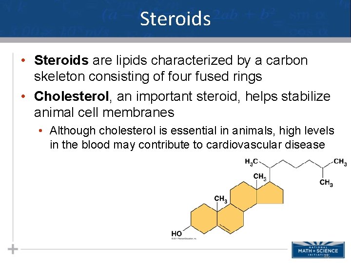 Steroids • Steroids are lipids characterized by a carbon skeleton consisting of four fused