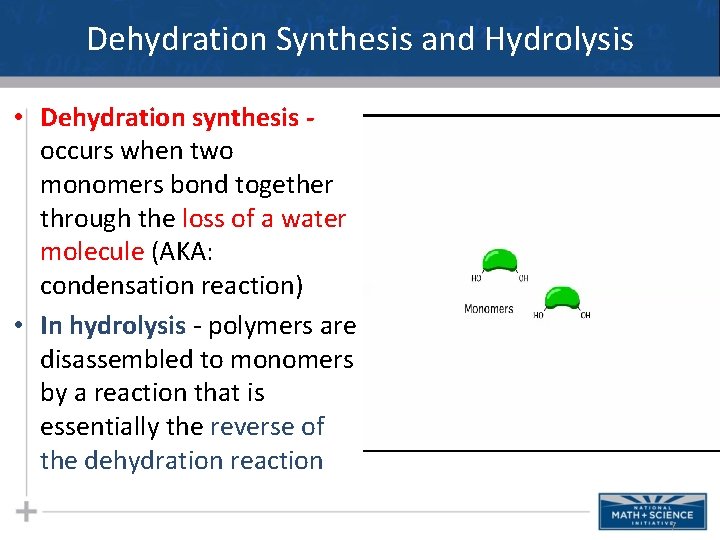 Dehydration Synthesis and Hydrolysis • Dehydration synthesis occurs when two monomers bond together through