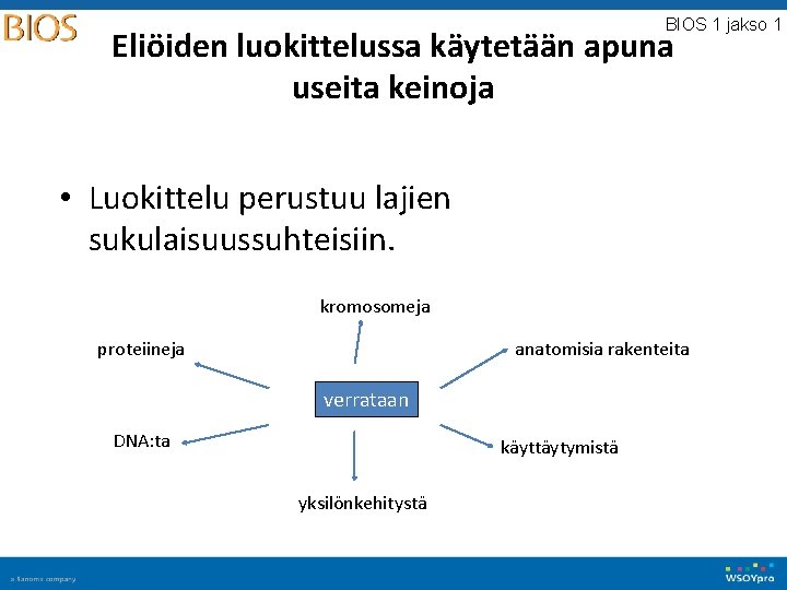 BIOS 1 jakso 1 Eliöiden luokittelussa käytetään apuna useita keinoja • Luokittelu perustuu lajien