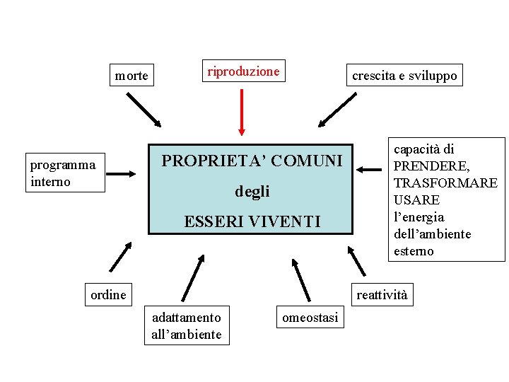 morte programma interno riproduzione crescita e sviluppo PROPRIETA’ COMUNI degli ESSERI VIVENTI ordine capacità