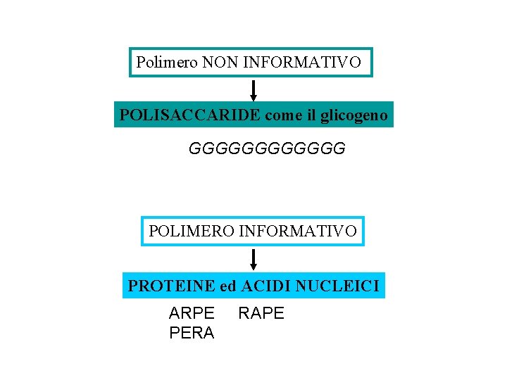 Polimero NON INFORMATIVO POLISACCARIDE come il glicogeno GGGGGG POLIMERO INFORMATIVO PROTEINE ed ACIDI NUCLEICI