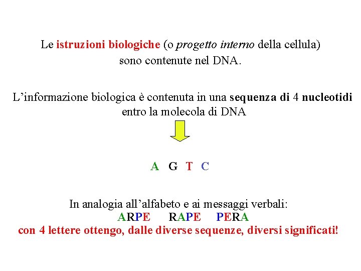 Le istruzioni biologiche (o progetto interno della cellula) sono contenute nel DNA. L’informazione biologica