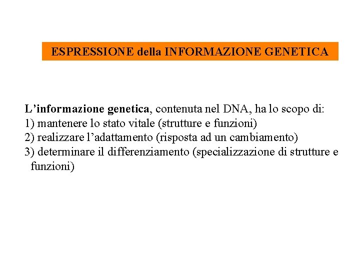 ESPRESSIONE della INFORMAZIONE GENETICA L’informazione genetica, contenuta nel DNA, ha lo scopo di: 1)