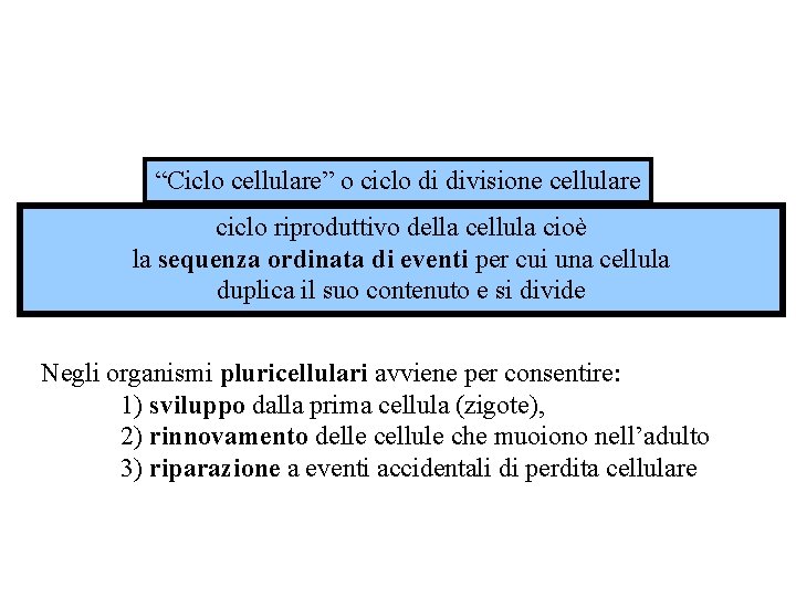 “Ciclo cellulare” o ciclo di divisione cellulare ciclo riproduttivo della cellula cioè la sequenza