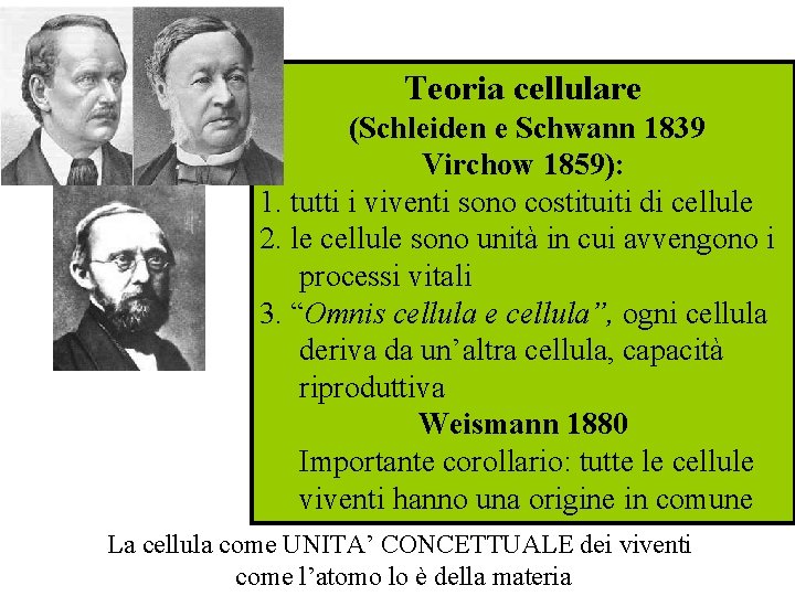 Teoria cellulare (Schleiden e Schwann 1839 Virchow 1859): 1. tutti i viventi sono costituiti