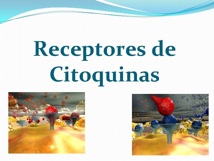 Receptores de Citoquinas 