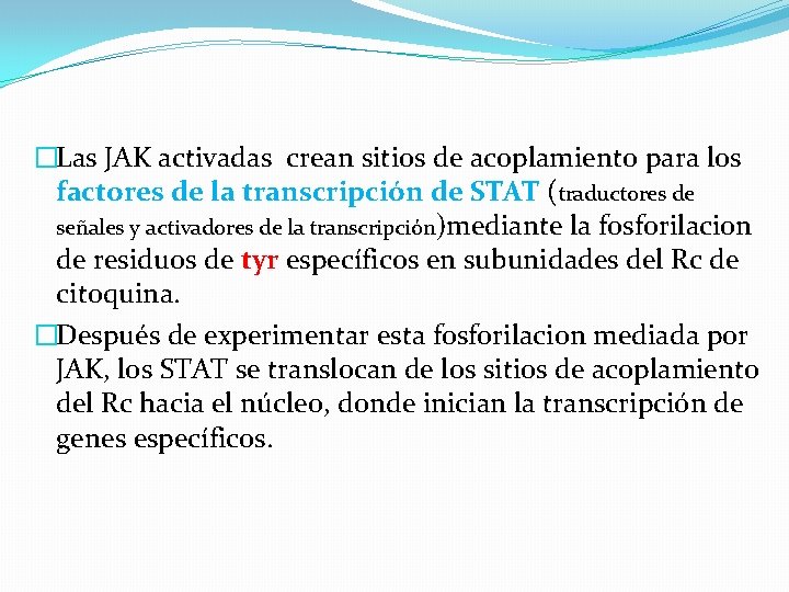 �Las JAK activadas crean sitios de acoplamiento para los factores de la transcripción de