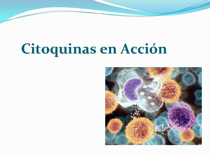 Citoquinas en Acción 