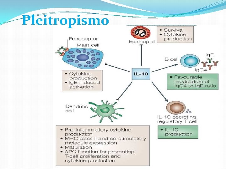 Pleitropismo 