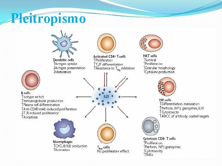 Pleitropismo 