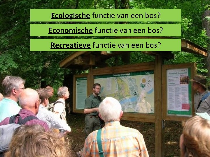 Ecologische functie van een bos? Economische functie van een bos? Recreatieve functie van een