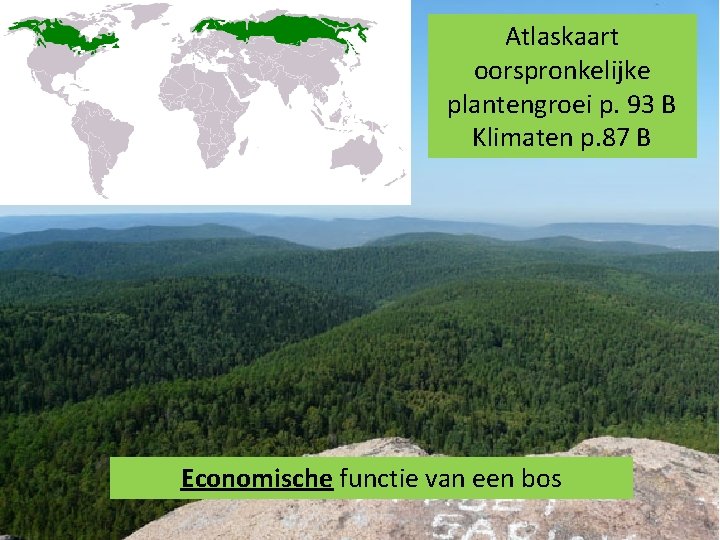 Atlaskaart oorspronkelijke plantengroei p. 93 B Klimaten p. 87 B Economische functie van een