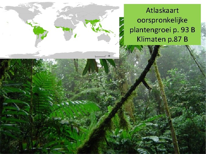 Atlaskaart oorspronkelijke plantengroei p. 93 B Klimaten p. 87 B 