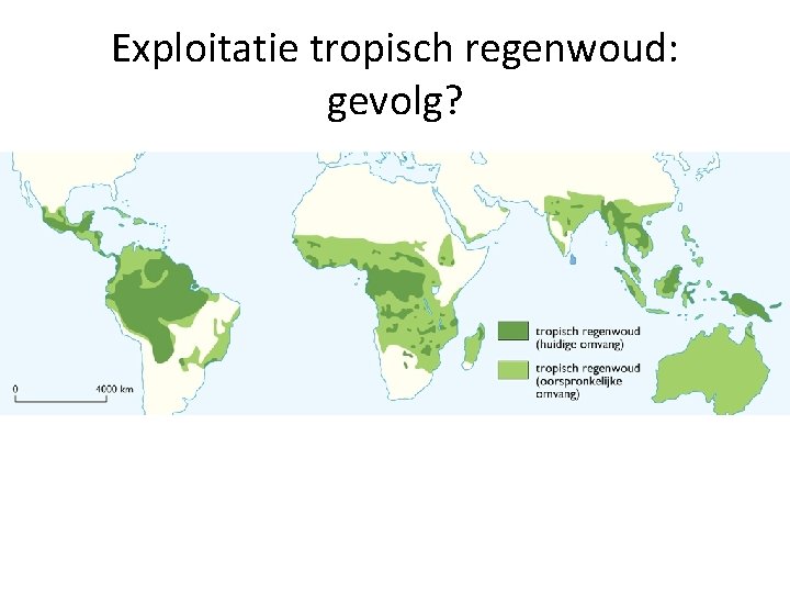 Exploitatie tropisch regenwoud: gevolg? 