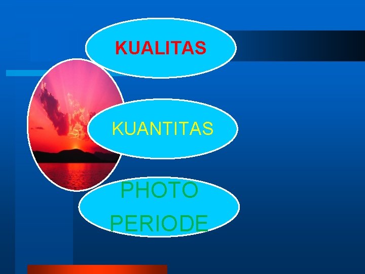 KUALITAS KUANTITAS PHOTO PERIODE 