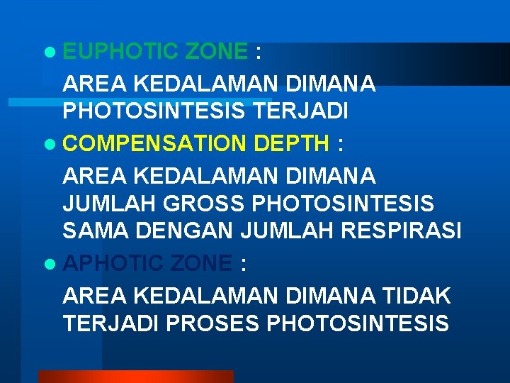 l EUPHOTIC ZONE : AREA KEDALAMAN DIMANA PHOTOSINTESIS TERJADI l COMPENSATION DEPTH : AREA