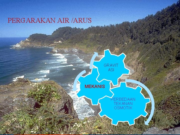 PERGARAKAN AIR /ARUS GRAVIT ASI MEKANIS PERBEDAAN TEKANAN OSMOTIK 