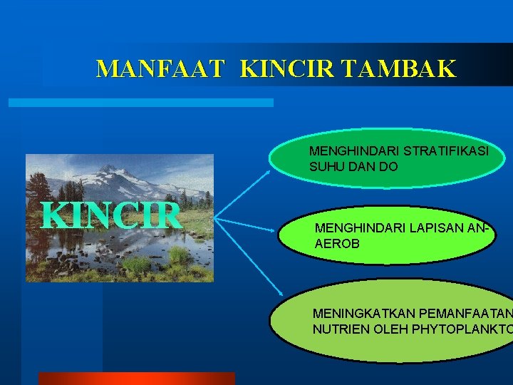 MANFAAT KINCIR TAMBAK MENGHINDARI STRATIFIKASI SUHU DAN DO KINCIR MENGHINDARI LAPISAN ANAEROB MENINGKATKAN PEMANFAATAN