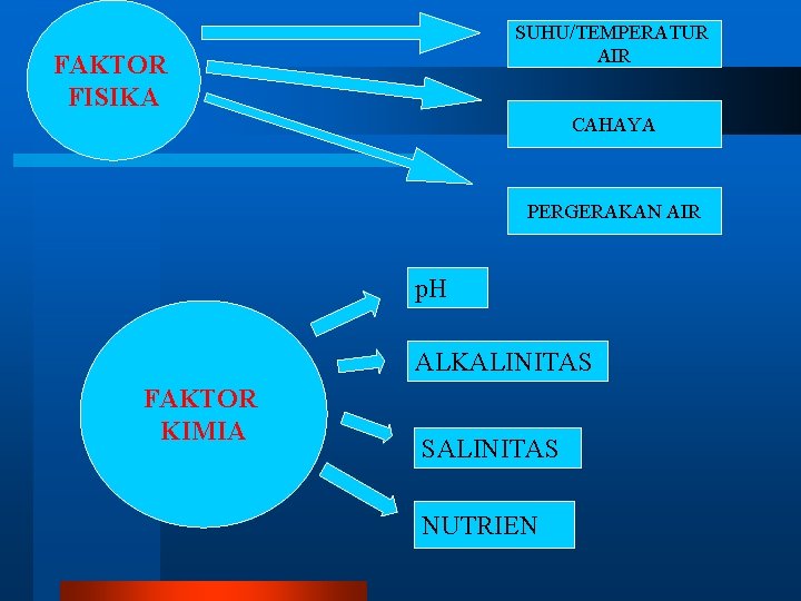 SUHU/TEMPERATUR AIR FAKTOR FISIKA CAHAYA PERGERAKAN AIR p. H ALKALINITAS FAKTOR KIMIA SALINITAS NUTRIEN