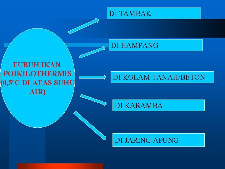 DI TAMBAK DI HAMPANG TUBUH IKAN POIKILOTHERMIS (0, 5ºC DI ATAS SUHU AIR) DI