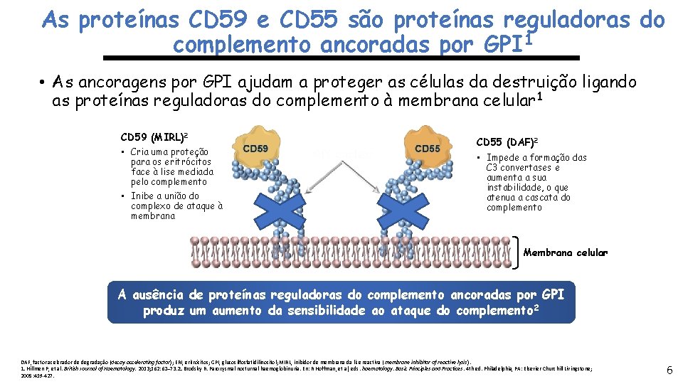 As proteínas CD 59 e CD 55 são proteínas reguladoras do complemento ancoradas por