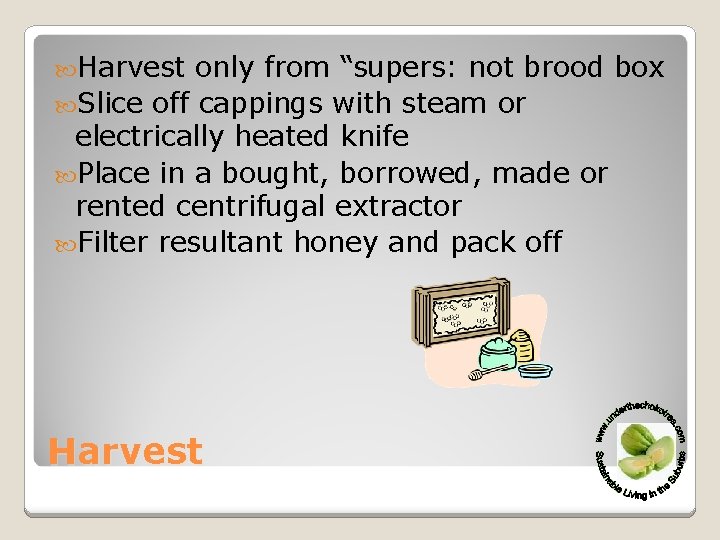  Harvest only from “supers: not brood box Slice off cappings with steam or