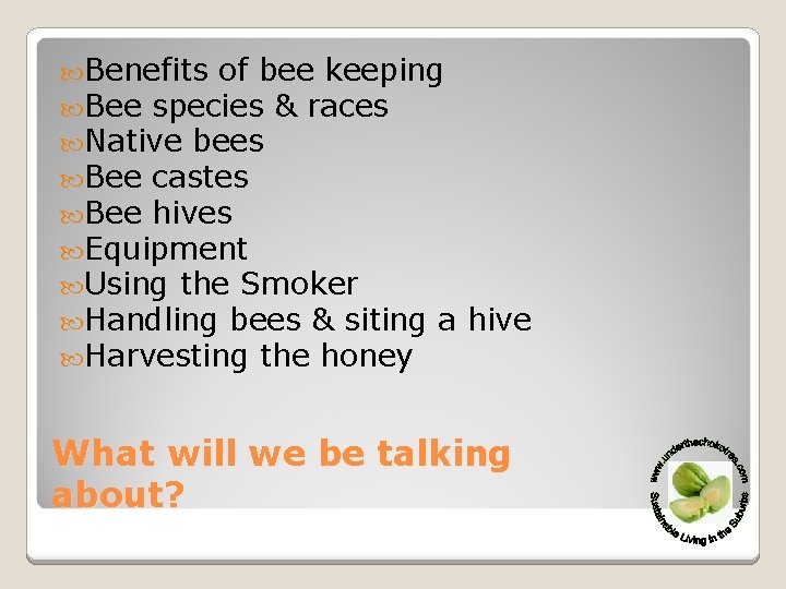  Benefits of bee keeping Bee species & races Native bees Bee castes Bee