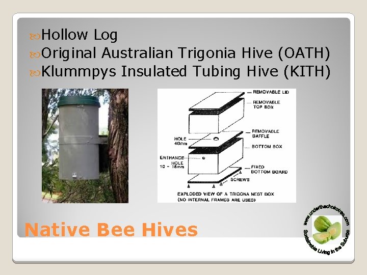  Hollow Log Original Australian Trigonia Hive (OATH) Klummpys Insulated Tubing Hive (KITH) Native
