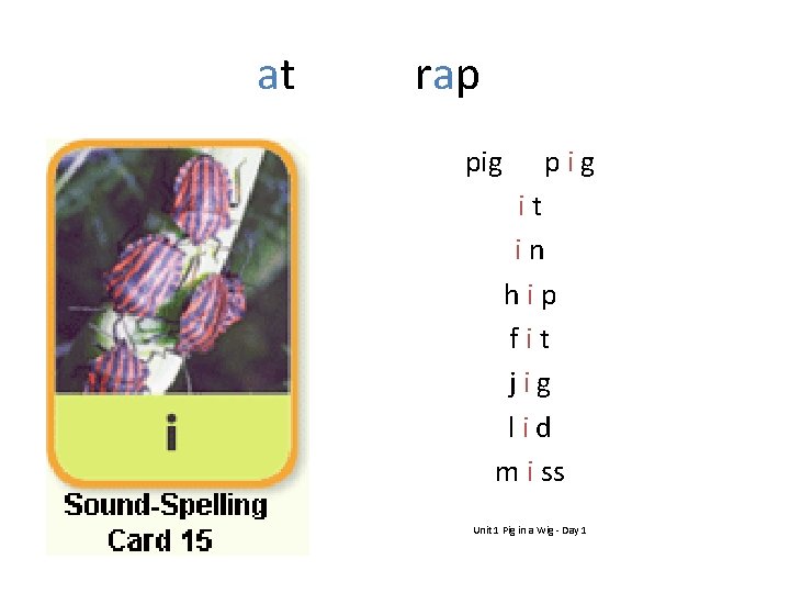 at rap pig it in hip fit jig lid m i ss Unit 1